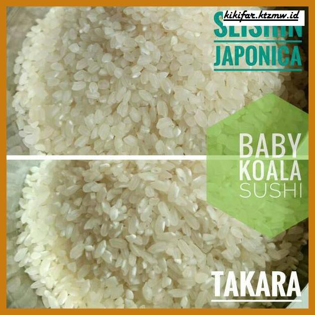 

ANEKA-BERAS- BERAS SUSHI GOOD QUALITY | SEISHIN JAPONICA RICE KUALITAS BAGUS BENTO -BERAS-SEHAT.