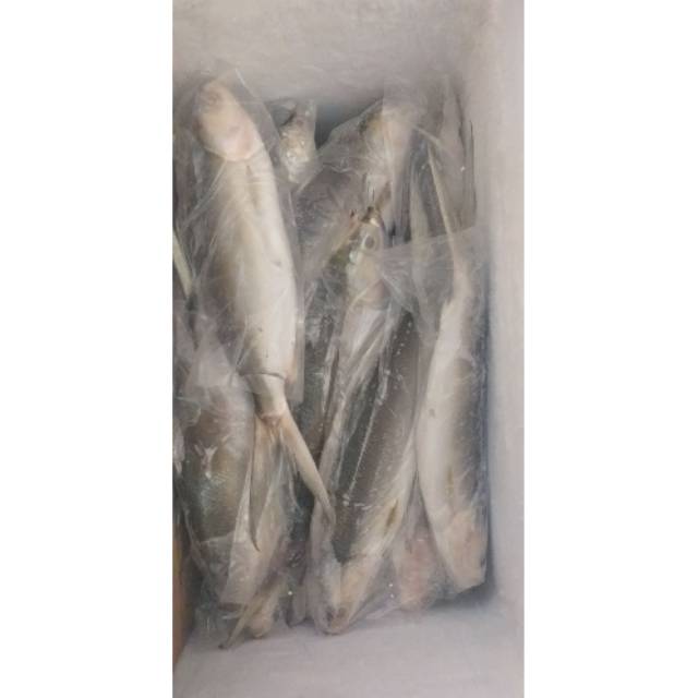 

BEST SELLER!! Bandeng Tanpa Duri. . Dan Aneka Olahan Ikan Bandeng