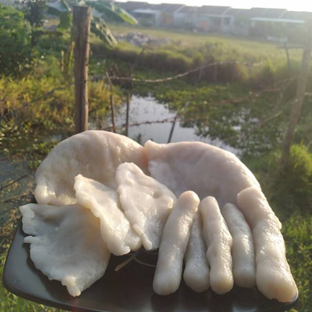 

Pempek ikan / pempek palembang/pempek frozen/pempek vacum