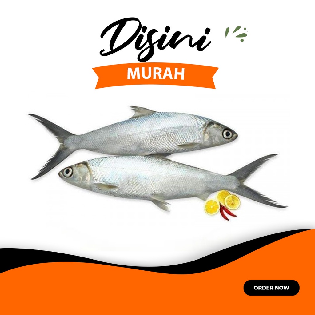 

Ikan Bandeng per 500 gram