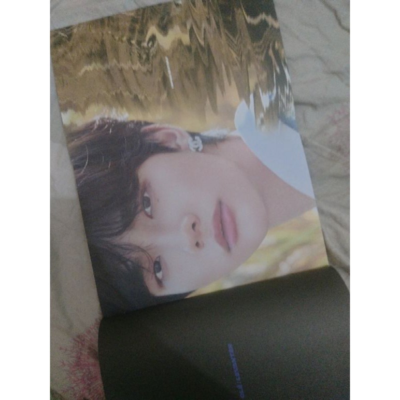 album stray kids levanter limited, go live, in life limited, in life regular