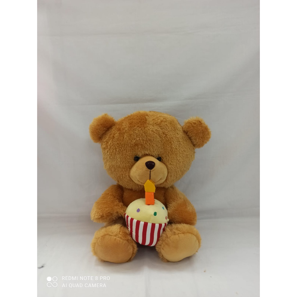 Boneka teddy bear baby birthday boy beruang Ted kue ulang tahun SNI grosiran bisa COD