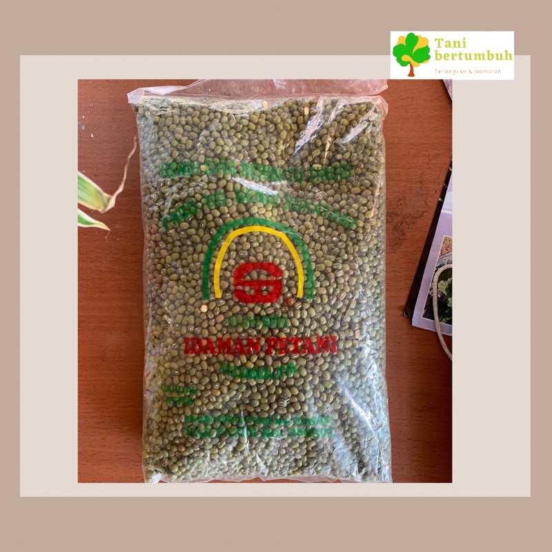 BIBIT BENIH KACANG HIJAU 1 KG - KUALITAS TERBAIK SUPER UNGGUL