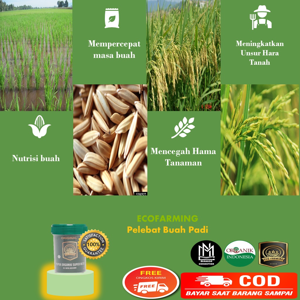 Jual Pupuk Ecofarming Padi Atau Pupuk Pertanian Pupuk Palawija Pupuk