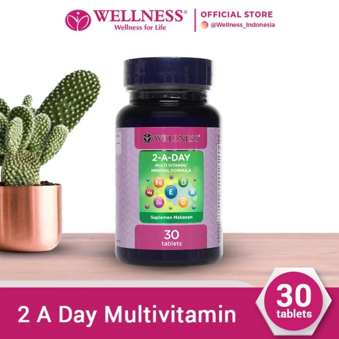 Wellness Multivitamin/Mineral 2 A Day 30