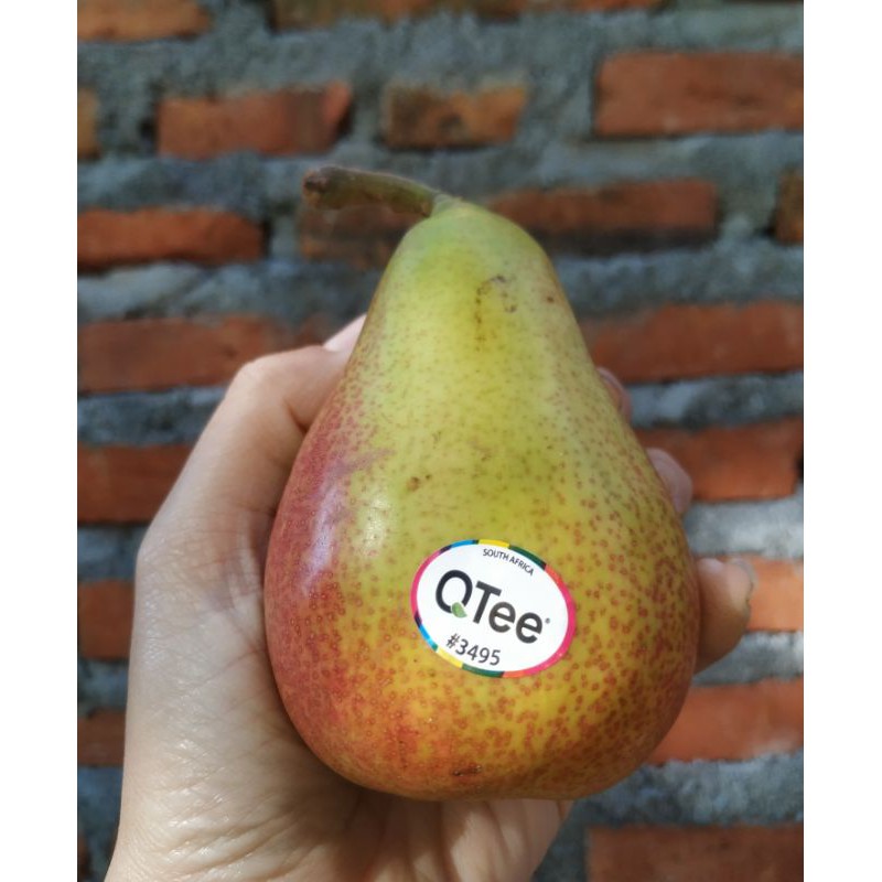 Jual Pir Forella Pear Forella Fresh 600gr Shopee Indonesia 