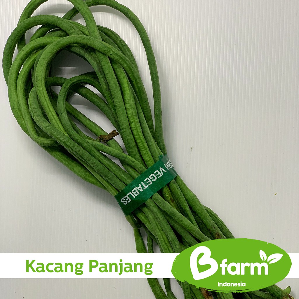 

Kacang Panjang 250 Gr (Area Bandung & Cimahi only) - Sayur Rumahan