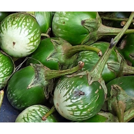 

Terong Hijau 500 gram