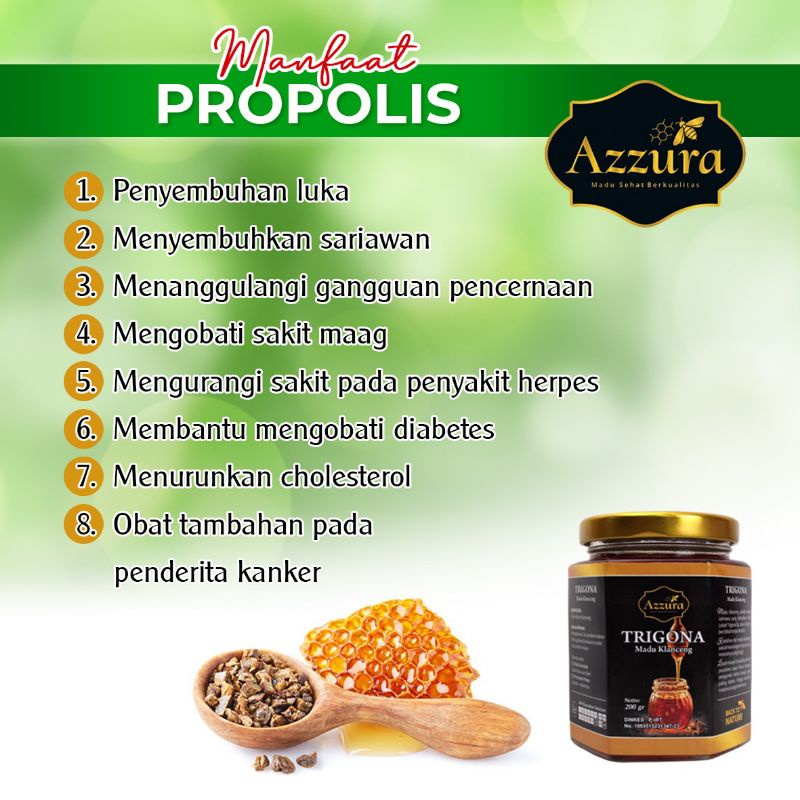

madu trigona 200 g madu klanceng madu sehat madu azzura