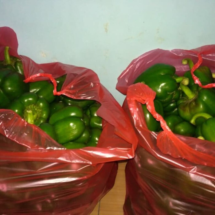 

Buah Paprika Hijau 1kg kw2
