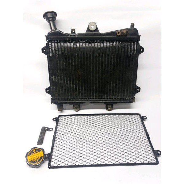 Radiator Ninja Rr Original