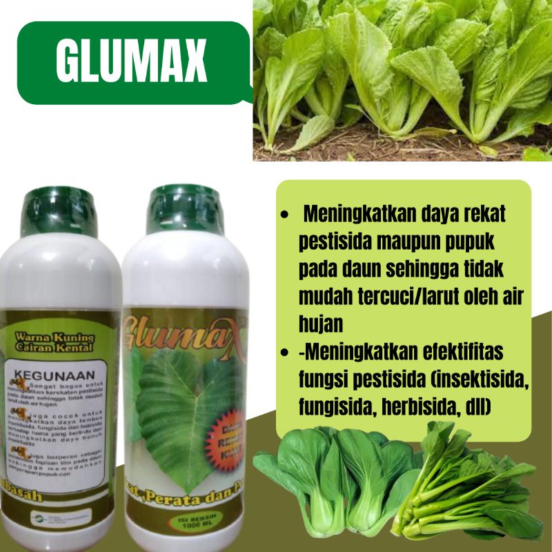 Pupuk Untuk Tanaman Sawi Agar Terlindungi Dari Hama, Pupuk Cair GLUMAX 1 LITER UNTUK TANAMAN SAWI