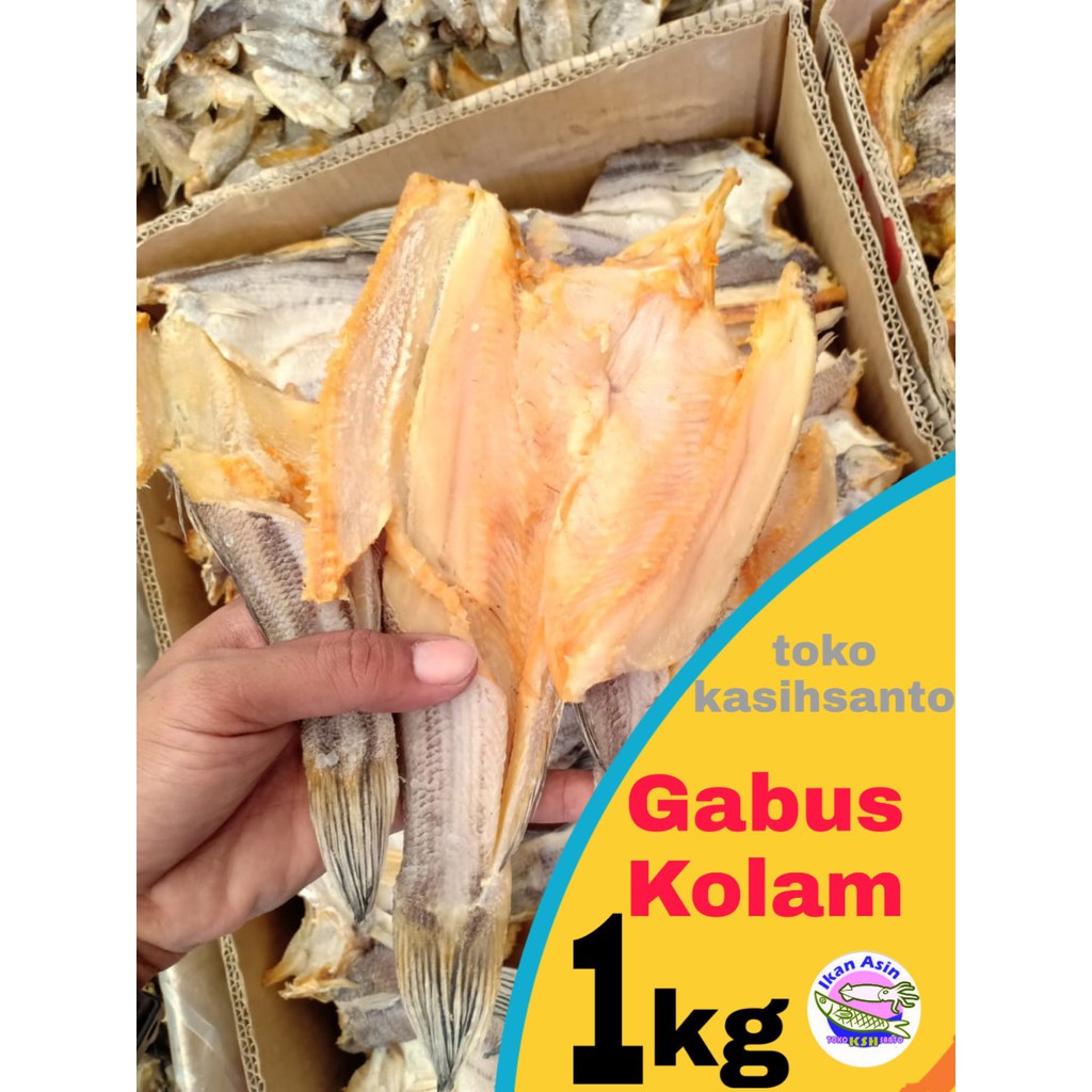 

ikan asin gabus madu,kolam-1kg