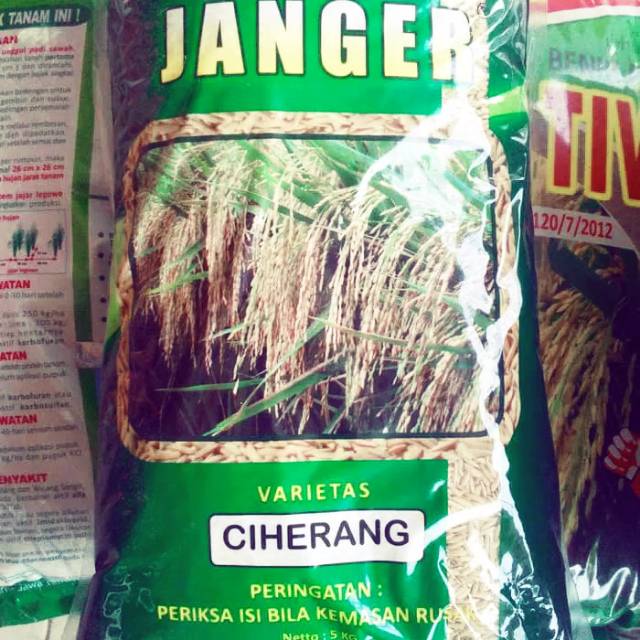 CIHERANG JANGER