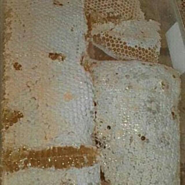

Sarang madu