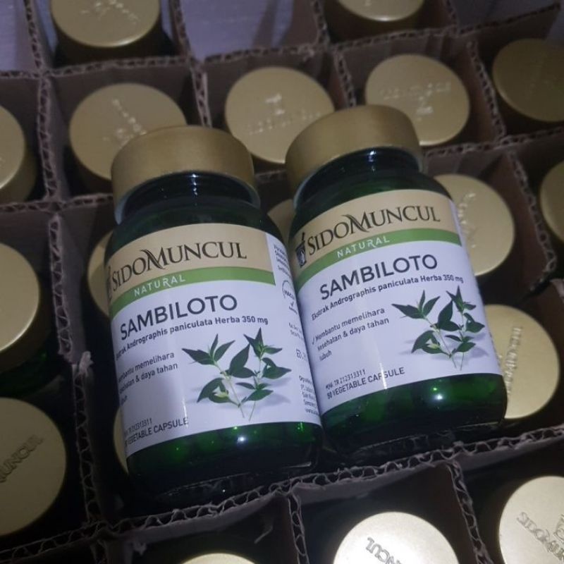SidoMuncul Daun Sambiloto isi 50 kaplet Sido Muncul untuk daya tahan tubuh