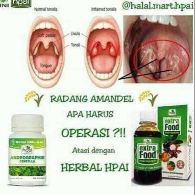 

Herbal amandel