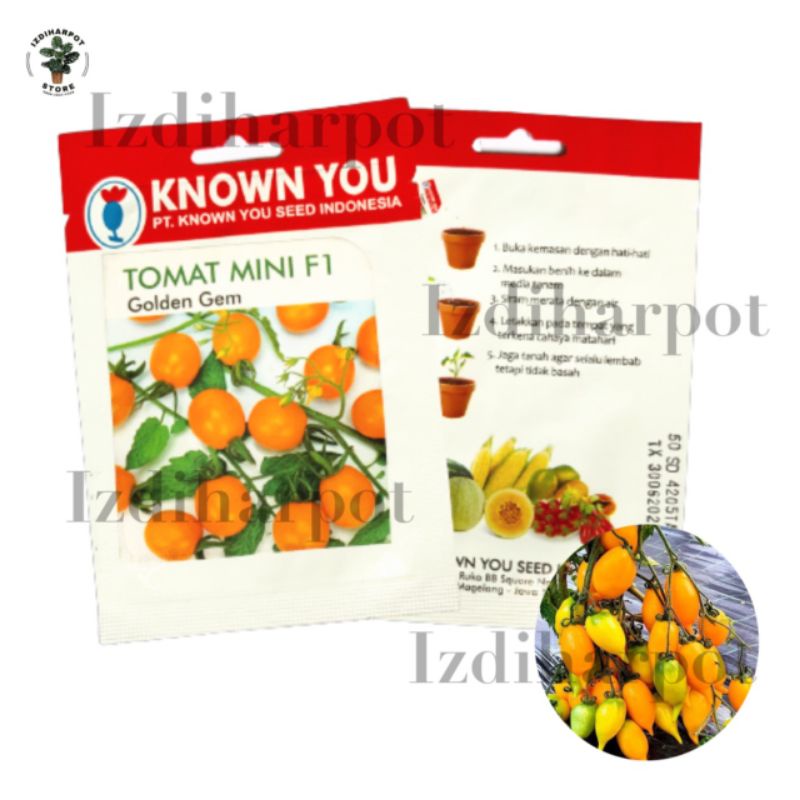 Benih bibit TOMAT MINI KUNING F1 GOLDEN GEM known you seed - KYS GOLDEN GEM