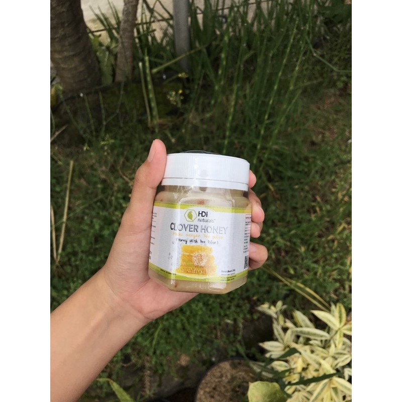 clover honey 500gr