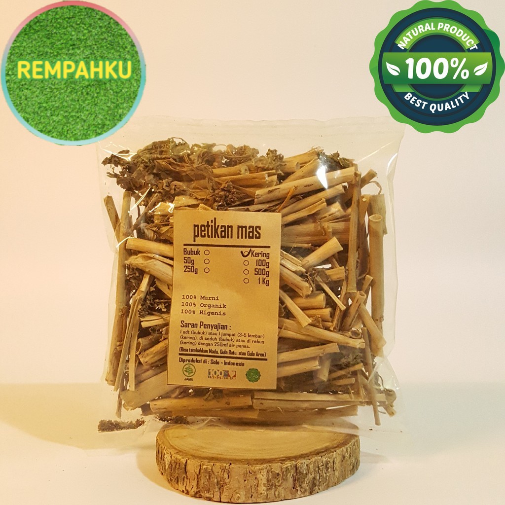 

PETIKAN MAS KATE MAS KERING 50 GRAM - Euphorbia Prunifolia Jacq