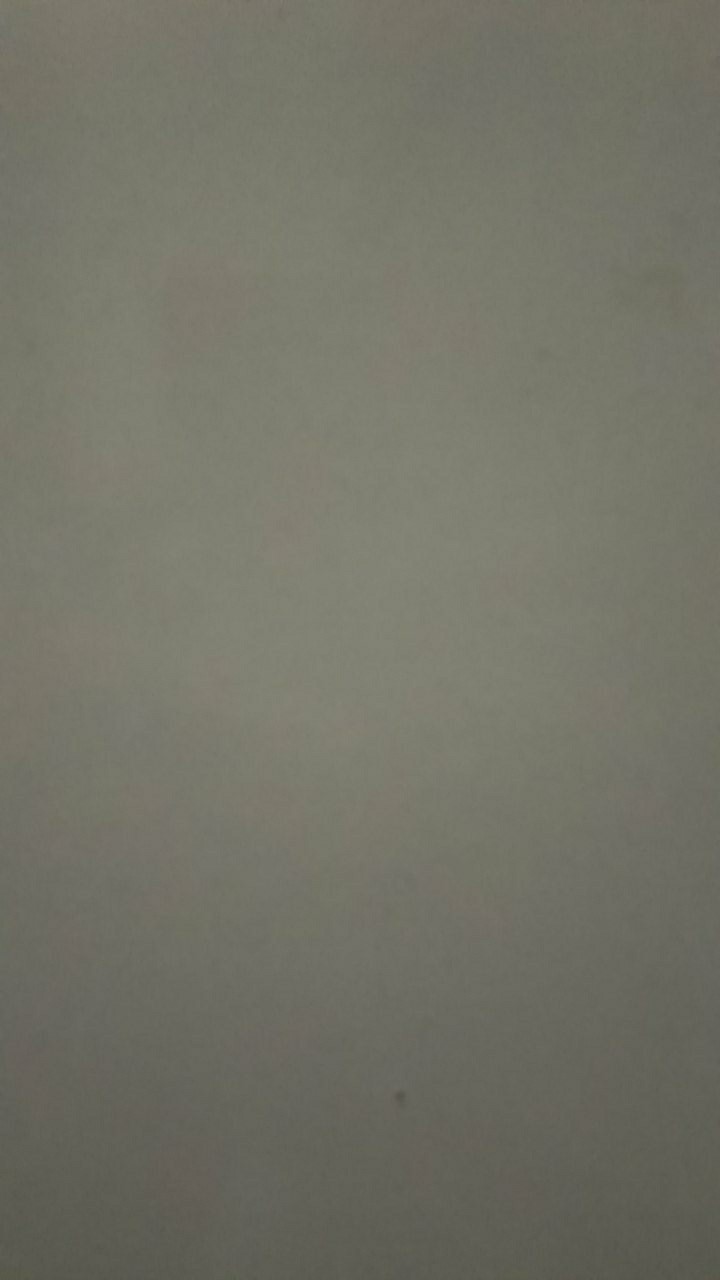 Jepitan Jemuran / Jepitan Baju / Laundry Dry Clips / Penjepit Jemuran Baju 20pcs / Jepitan Serbaguna