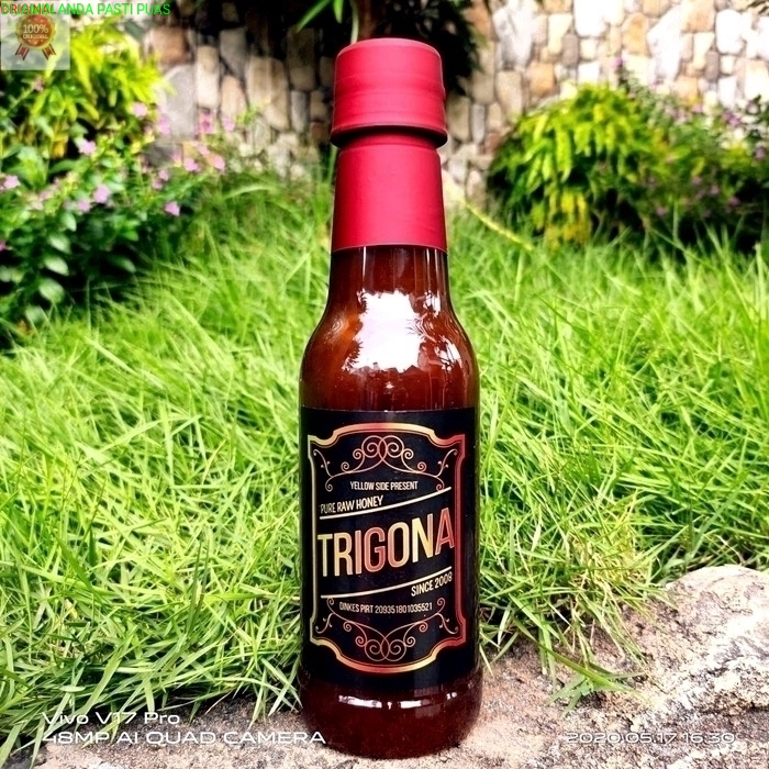 

Madu Klanceng Trigona Sehat Sentosa 250ml | Madu Murni Klanceng