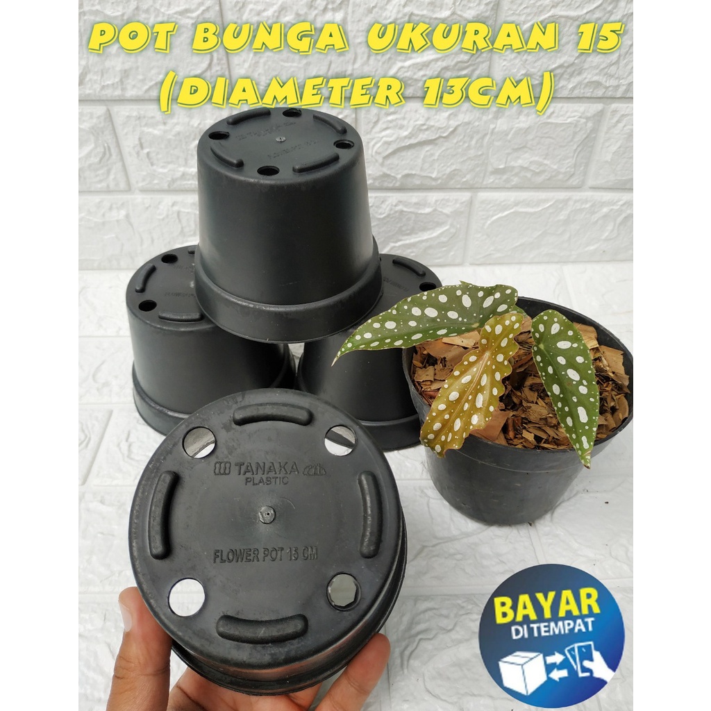 pot bunga  hitam ukuran 15 paket murah isi 1 lusin pot bunga plastik lusinan murah pot