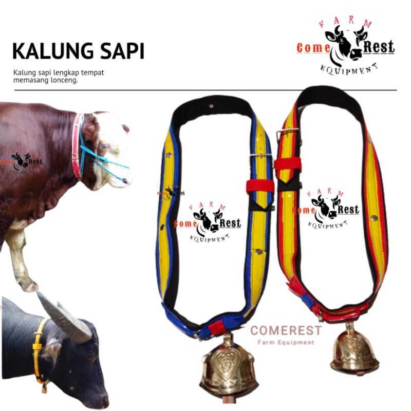 Kalung sapi Lebar 4cm