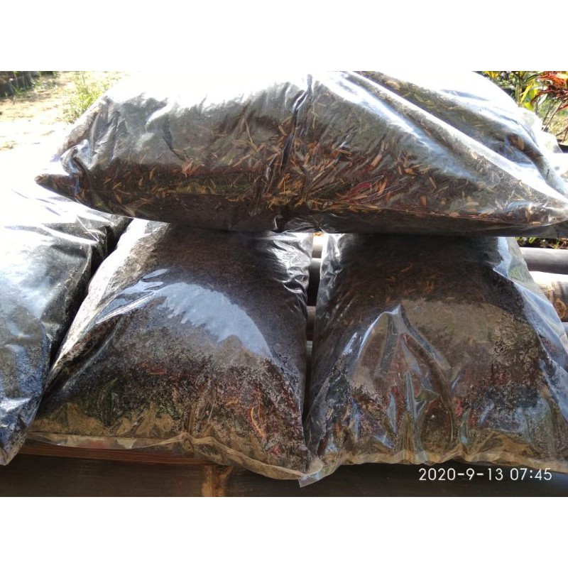 Arang sekam padi / Sekam padi bakar