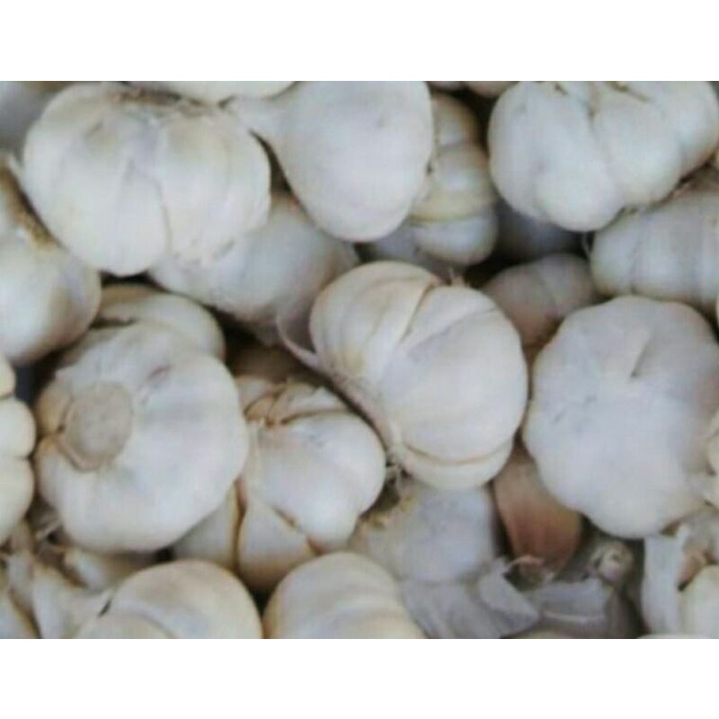 

Bawang putih segar 500g