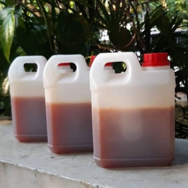 

Madu Hutan Asli Raw Honey