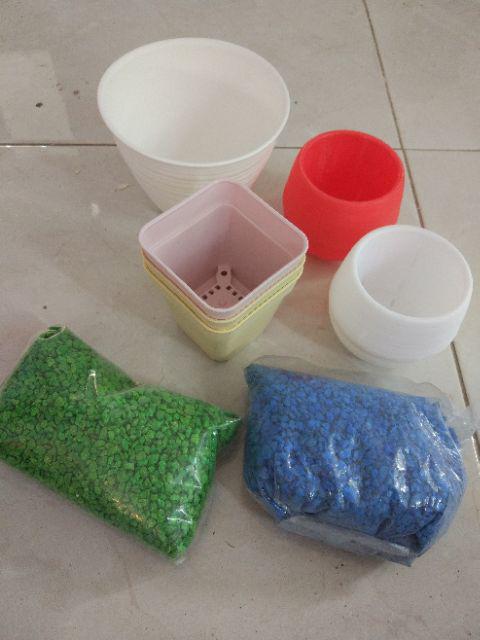 12cm Pot Tawon 12 Budi Jaya