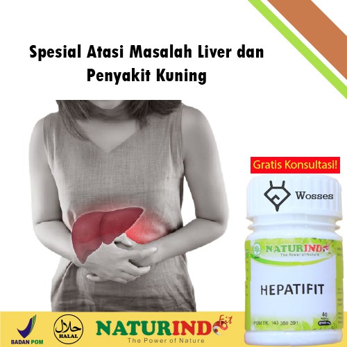 

Obat Herbal Liver / Hati ( Hepatifit ) Naturindo