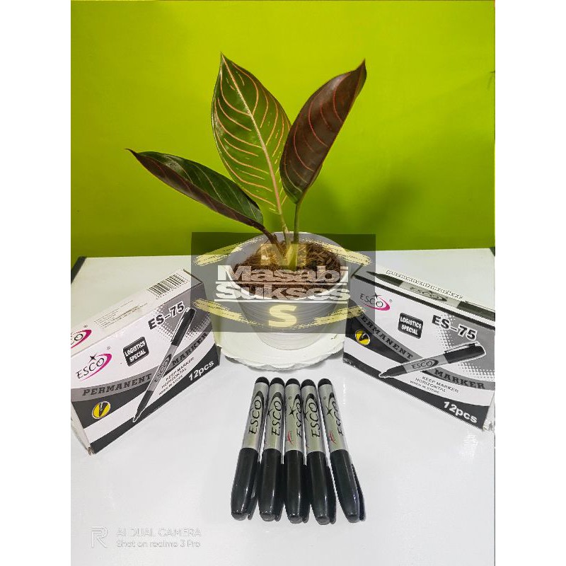 

Spidol Permanent Marker Murah ESCO Hitam (1pcs)