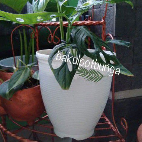 Pot Bunga NKT Guci 21 Model Tinggi