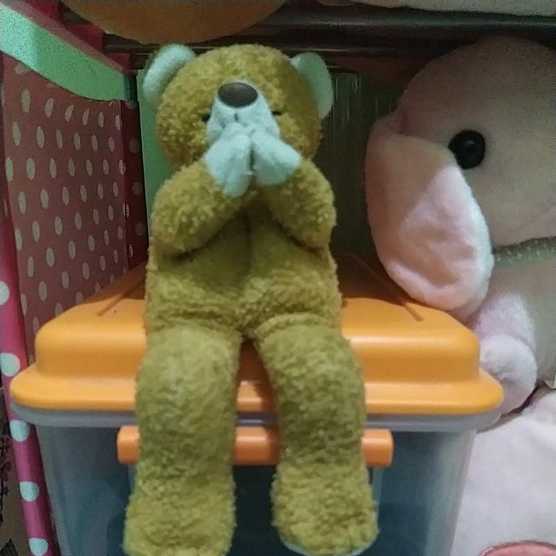 teddy berdoa boneka ka rizky