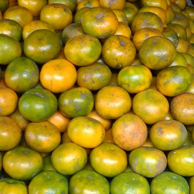 

Jeruk Medan