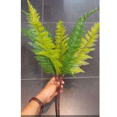 Daun pakis group/ Daun pakis latex/daun pakis dekorasi gelombang/daun pakis cabang 9