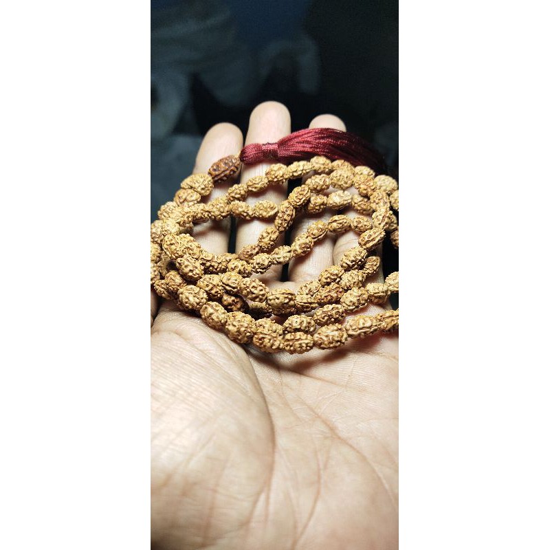 japamala rudraksha jenitri mukhi 2