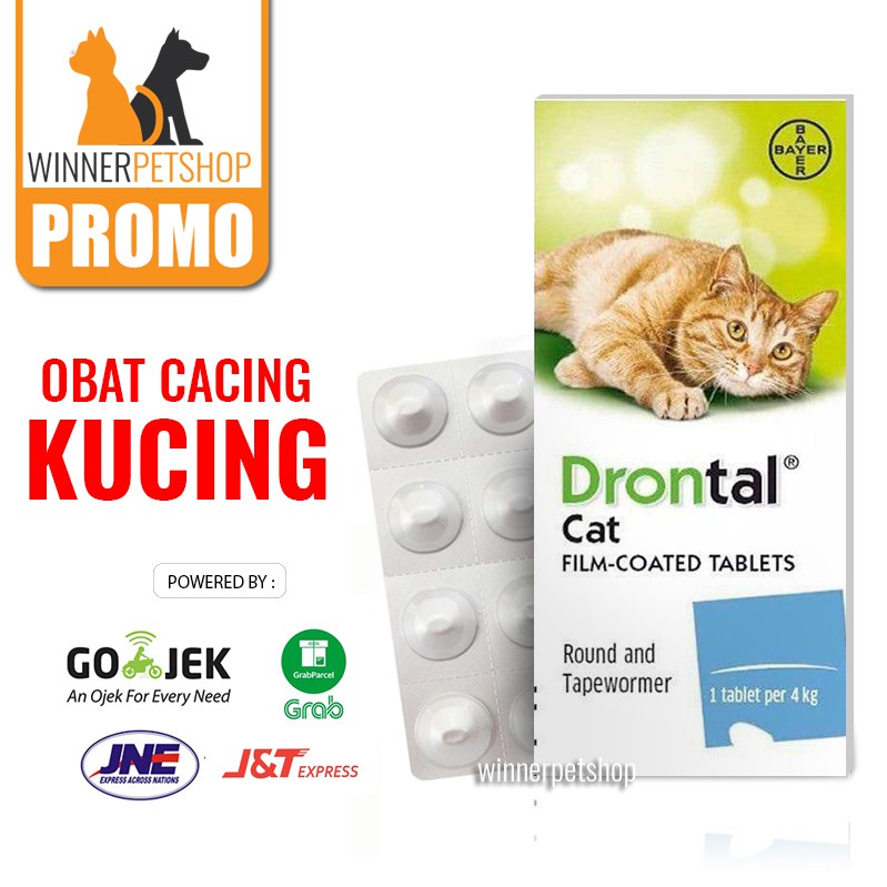 Drontal Cat Obat Cacing Untuk Kucing Shopee Indonesia