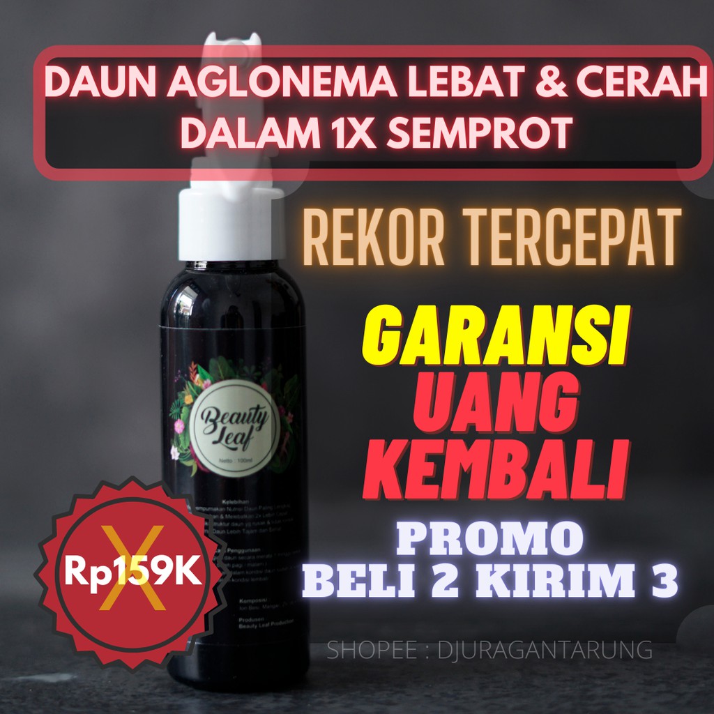 Pupuk Daun Aglonema, Pupuk Daun Semprot, Pupuk Daun Tanaman Hias, Pupuk Daun Grow More