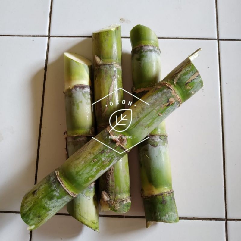 

Tebu Hijau Manis Segar Dadakan 1kg