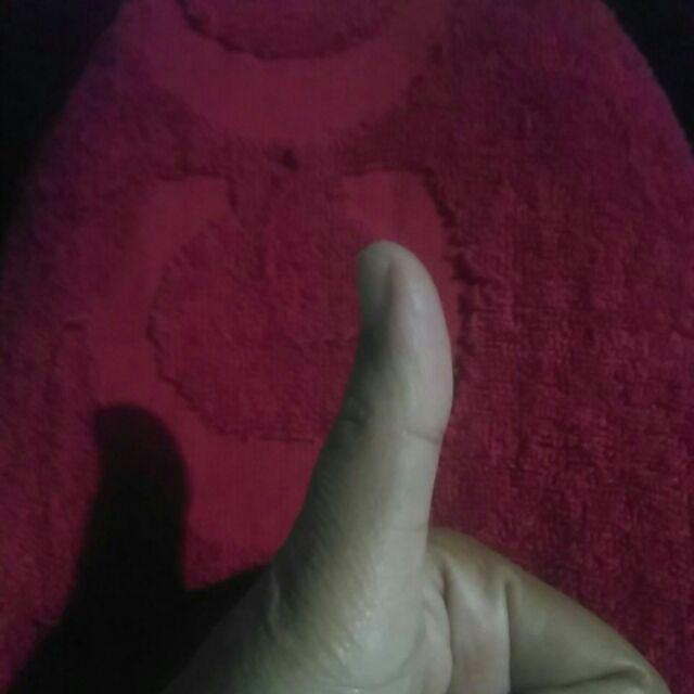 Couple Batik Raisa Prada Soegiharto