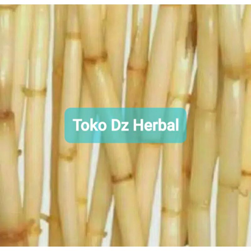 

Akar alang alang atau ilalang segar 1000 gram-az