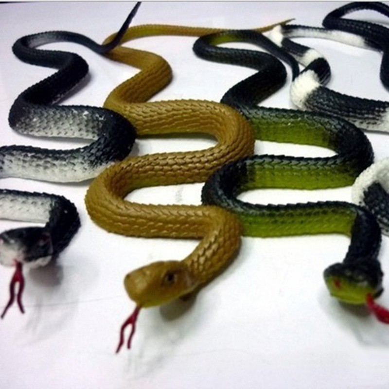 Gambar Lucu Ular  Kasur