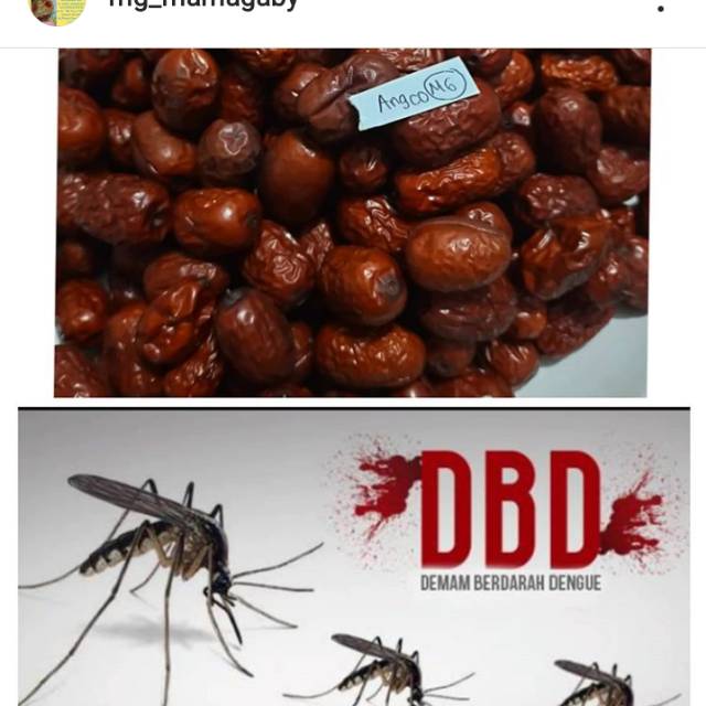 

Angco aja 100gram