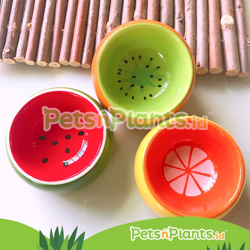 Tempat Makan Hamster Keramik Premium Import - Aneka Model Warna Ukuran