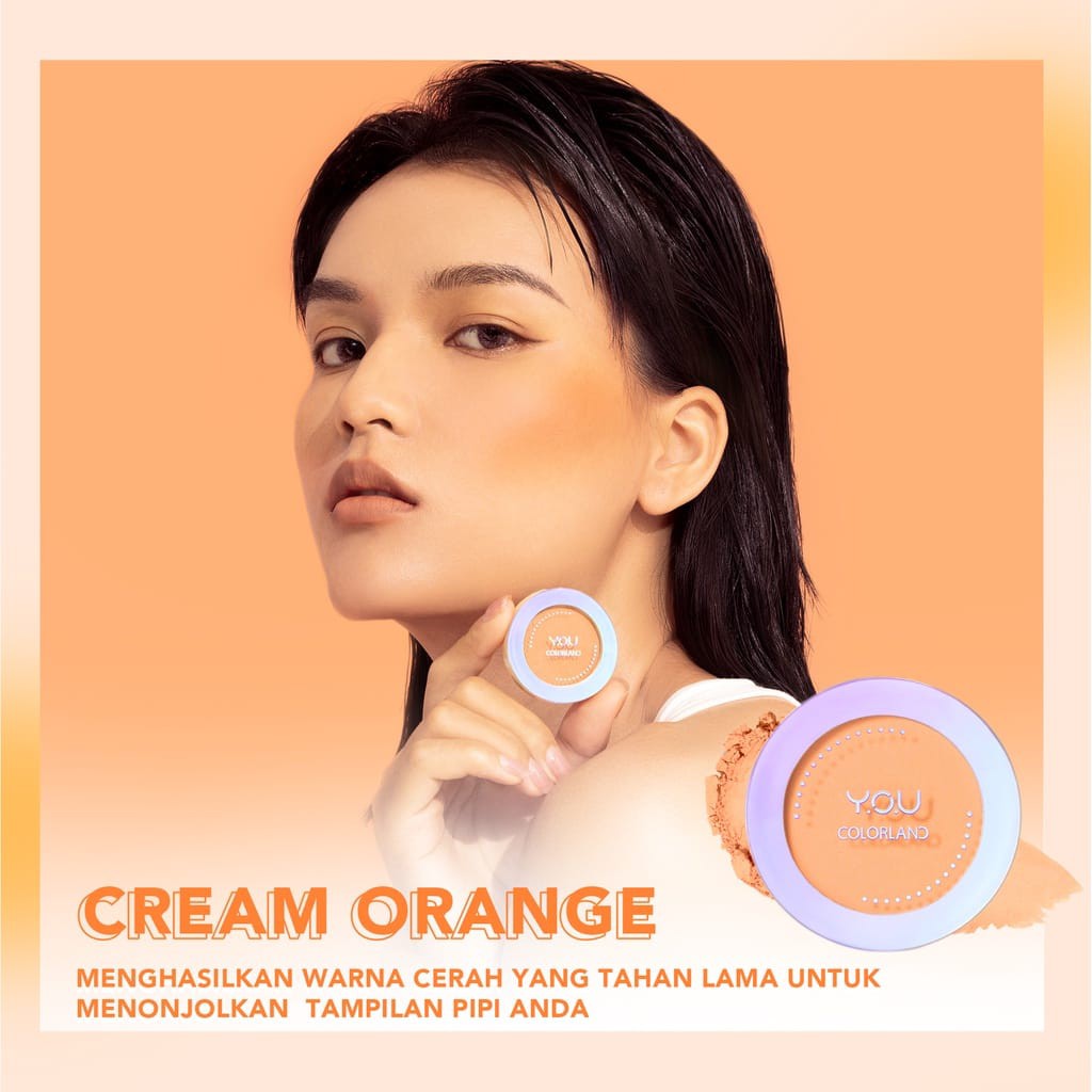 YOU Colorland Focus On Me Blush Original Asli