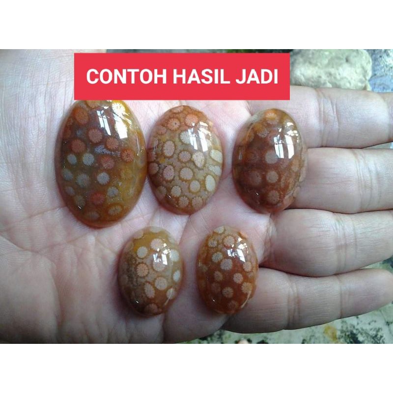 BAHAN ROUGH BATU AKIK TERATAI NATURAL AGATE STONE