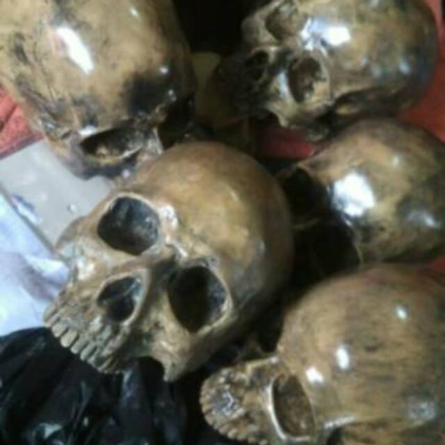 Tengkorak Manusia Replika berbahan fiberglass resin